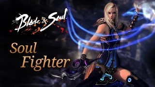 Blade & Soul: Soul Fighter Overview