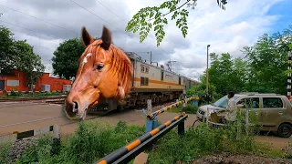 Dangerous Mad Horse Headed ANNAYA EXPRESS Extremely Furious Moving Throughout Railgate