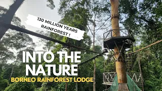 Borneo Rainforest Lodge | Danum Valley Conservation Area 【SABAH】