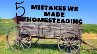 5 MISTAKES HOMESTEADING IN THE FIRST 6 MONTHS!