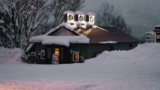 Места не нашлось 🎄 Давид Махмуд-Оглы