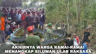 NYATA TERBUKTI..!! AKHIRNYA WARGA RAMAI-RAMAI MENANGKAP SILUMAN ULAR RAKSASA DI HUTAN PACET ?!