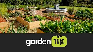 Inspirational Veggie Garden in Cape Town