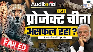 Is Project Cheetah a Failure? | Auditorial l Ep-20 l StudyIQ IAS Hindi