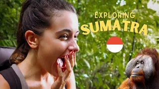 INDONESIA VLOG - We met the Orangutans of Sumatra!