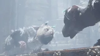 The Last Guardian Trico vs. Second Guardian