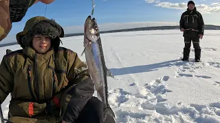 ОТЛИЧНЫЙ КЛЕВ КРУПНОЙ КОРЮШКИ НА ДАМБЕ / WINTER FISHING