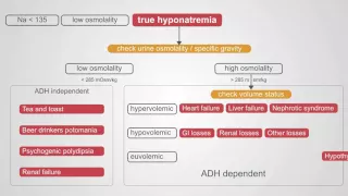 Diagnosing Hyponatremia: A Comprehensive Algorithm