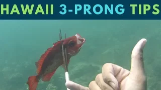 MUST KNOW Hawaii Spearfishing Tips for "3-Prong" Polespear(Beginner Friendly)