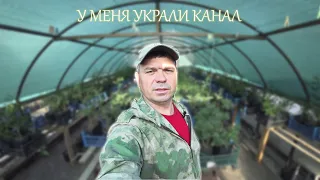 Украли мой канал "Частный питомник Тимофей"