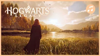 HOGWARTS LEGACY First Vivarium Music + Ambience | A Fitting New Home | 1 HOUR