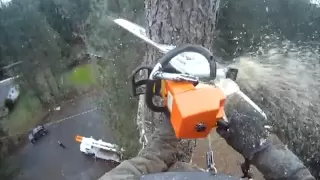 Arborist August Hunicke speed line technique.