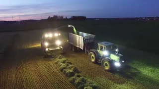 Grashäckseln 1.Schnitt/ Claas Jaguar 960 und Mbtrac