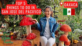 Mexico’s Magic Mushroom Capital | San Jose del Pacifico, Oaxaca