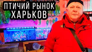 Птичий Рынок в Харькове во время военных действий! 16 апреля 2022!