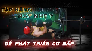 Tập tạ nặng hay tạ nhẹ để phát triển cơ bắp nhanh hơn, số set, số rep nào tốt nhất