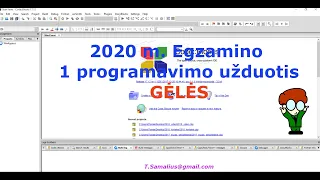 IT VBE 2020. 2020 IT egzamino 1 programavimo užduotis GĖLĖS.