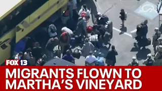 Migrants flown, bused to Martha's Vineyard at risk of deportation if they don't check in with ICE in