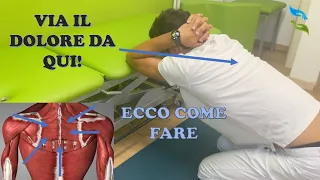 I MIGLIORI ESERCIZI per la parte dorsale. Dolore tra le scapole.