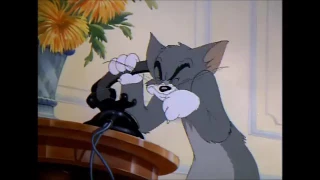 Tom and Jerry, 016 Episode   The Mouse Comes to Dinner.