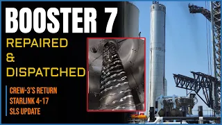 Starship Booster 7 Repaired and Dispatched to Launch Pad + SLS Update | SpaceX Updates
