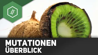 Mutationen - Überblick