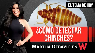 Martha Debayle, ¿Cómo SABER si TENGO CHINCHES? | W Radio