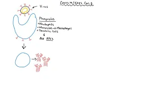 COVID 19 Part 7: Vaccine Development and Immunity