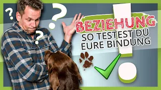 So testest du die BINDUNG zwischen dir und deinem Hund