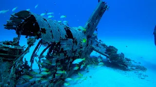 Diving the Corsair Plane Wreck
