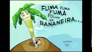 ARMANDINHO FUMA FUMA FOLHA DE BANANEIRA