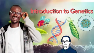 Introduction to Genetics