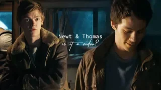 newt & thomas | is it a video? (+tdc)