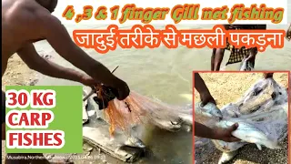 30 kg carp fishes,4/3/1 finger Gill net fishing #How to make gill net in simple process