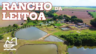 Drone Explorando a Fazenda do RANCHO DA LEITOA