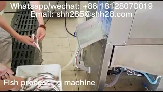 Automatic fish processing machine fish cleaning machine fish killing machine dace equipment