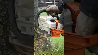 Brennholz sägen mit Stihl 023 Teil 1