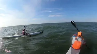 The Surfski Foundation Downwind Tampa Bay fun with Alessia    HD 1080p