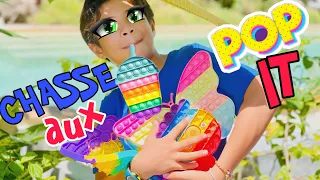 Cache-cache POP IT dans le jardin | chasse aux pop it challenge avec tropical story