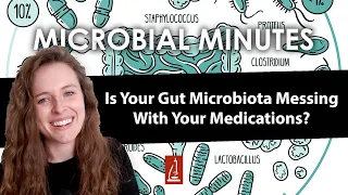 How The Gut Microbiota Interacts With Medications