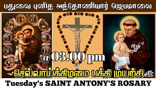புனித அந்தோனியார் ஜெபமாலை / St. Antony's Rosary in Tamil / Tuesday's Blessing