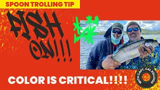 Trout Gobbling Shad! Confused About Spoon Color? Do This & Hook Up! #fishing #trout #trolling