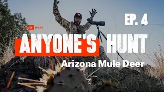 Anyone's Hunt: Arizona Mule Deer, EP. 4 | Presented by onX Hunt