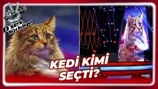 O Ses Türkiye'de Kedi Sürprizi! | O Ses Türkiye 30. Bölüm