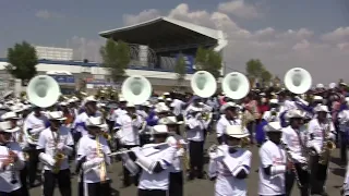 Moves Like Jagger | Aguilas Doradas Marching Band 2014