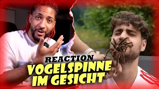 ELIGELLA MIT VOGELSPINNE IM GESICHT 🕷🔥 / REACTION