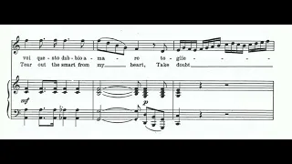 Chi sa, chi sa, qual sia (W. A. Mozart) Score Animation