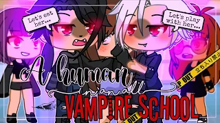 🧛 A Human In An All Vampire School🩸 || GachaLife MiniMovie || GLMM ||