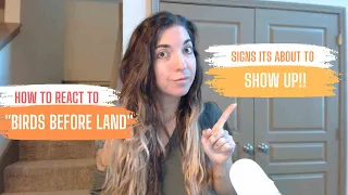 "Birds Before Land" & Signs Your Manifestation is CLOSE!