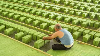 How This Turkish Factory Makes Millions of Soap Bars Using 150-Year Old Technique